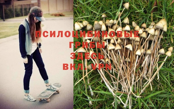 дмт Кострома